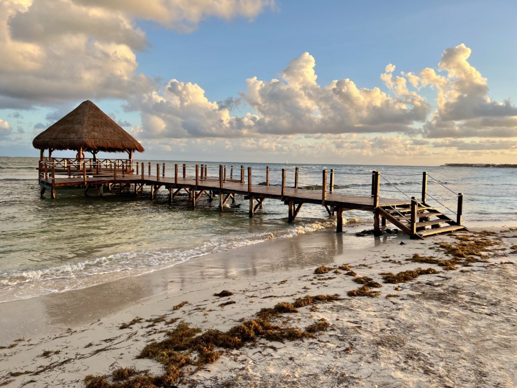 hyatt ziva riviera cancún beach