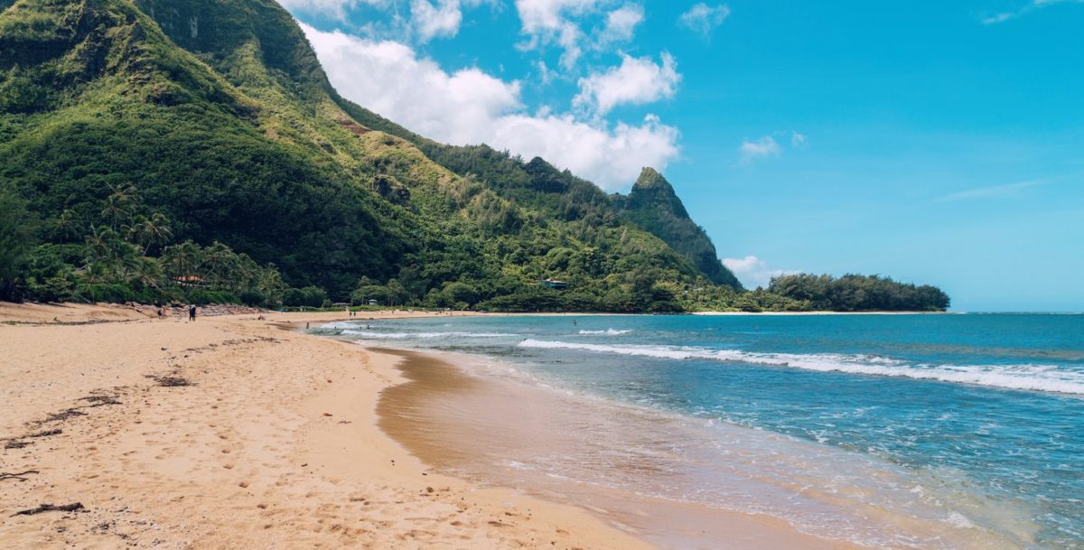A sandy beach next to a body of water