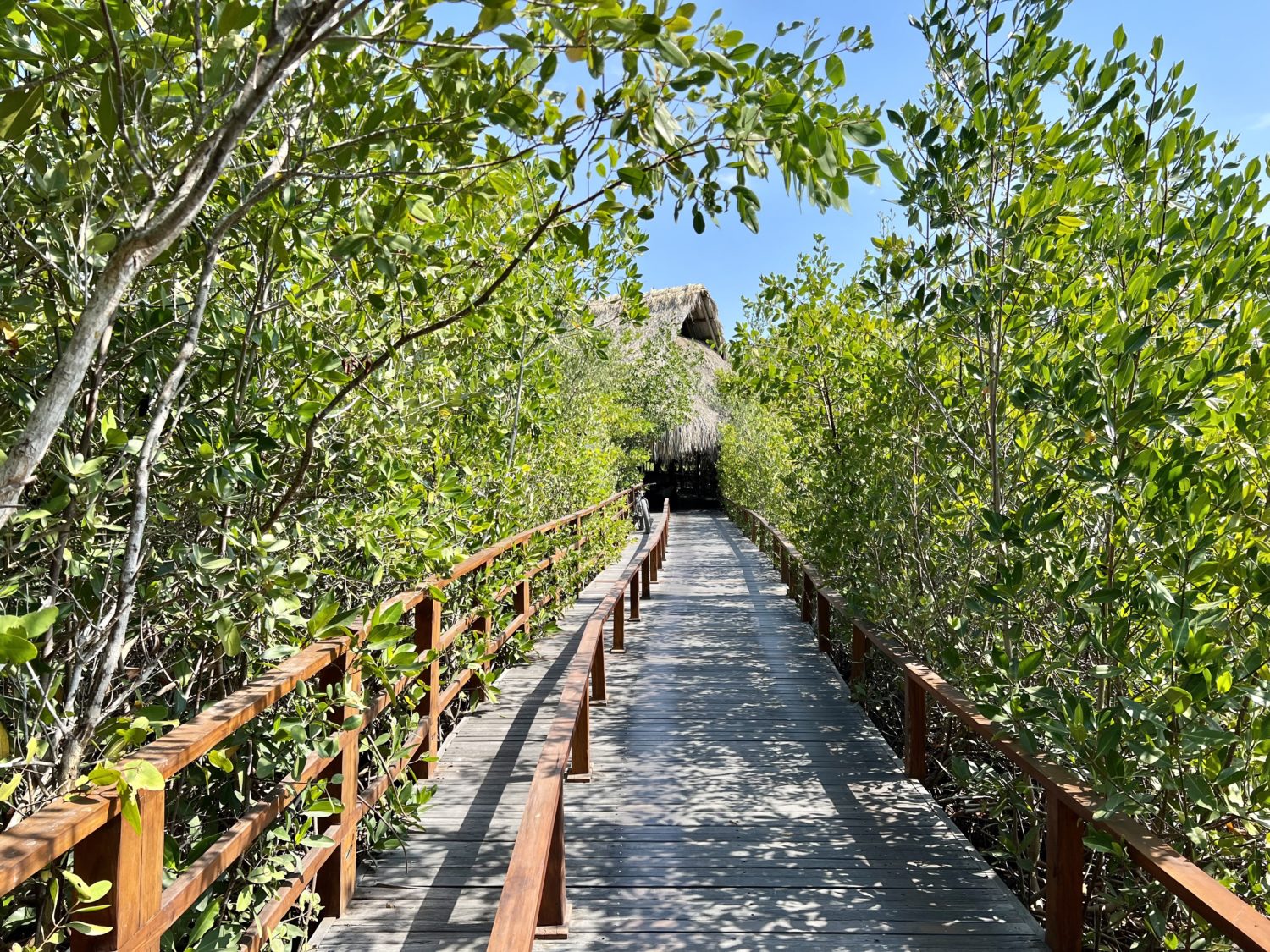 hotel las islas baru grounds