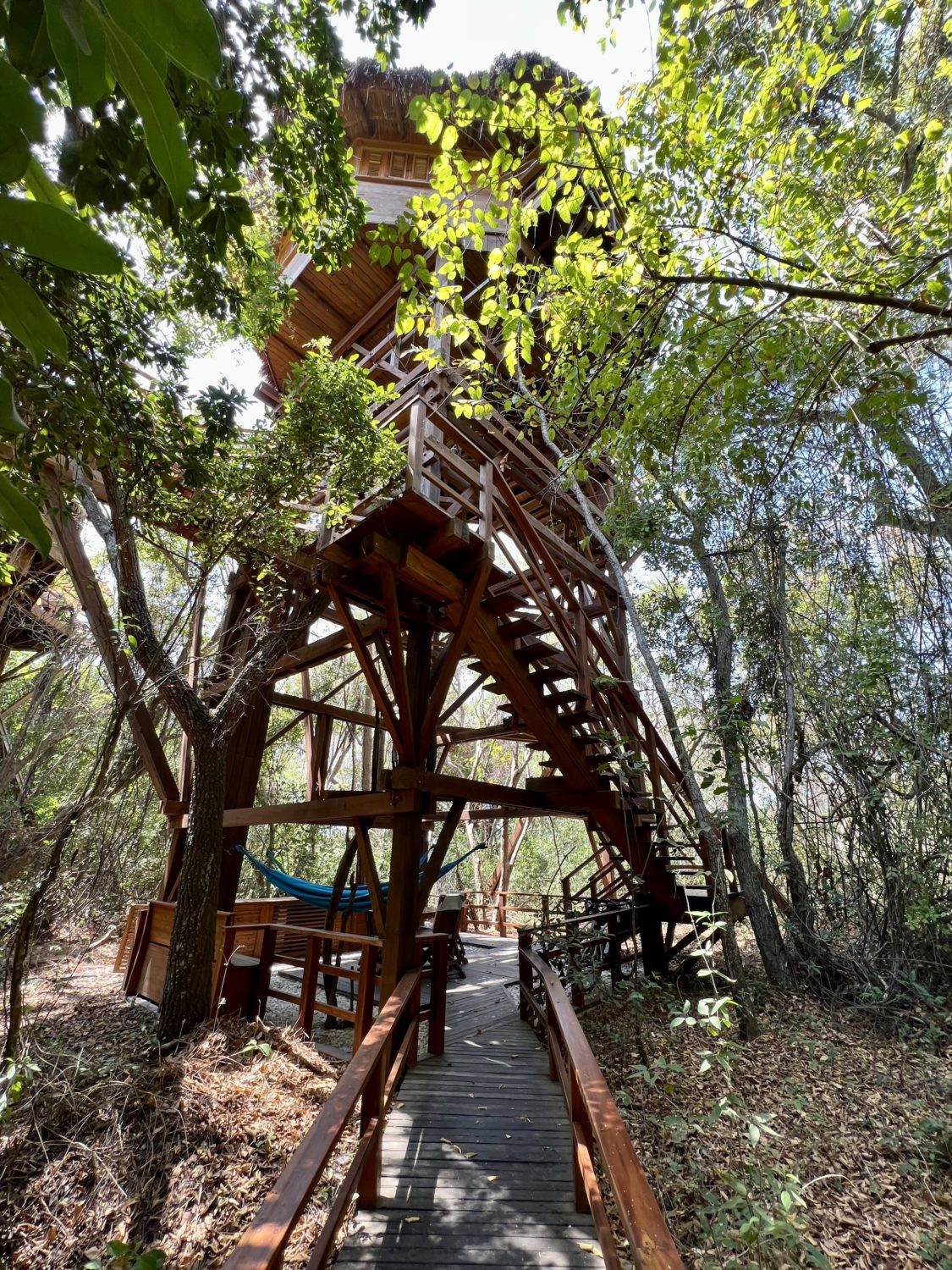 hotel las islas baru tree bungalow