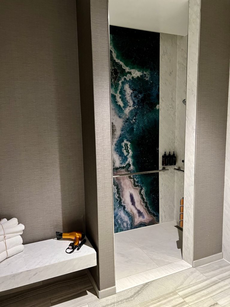 delta sky club los Angeles shower suite