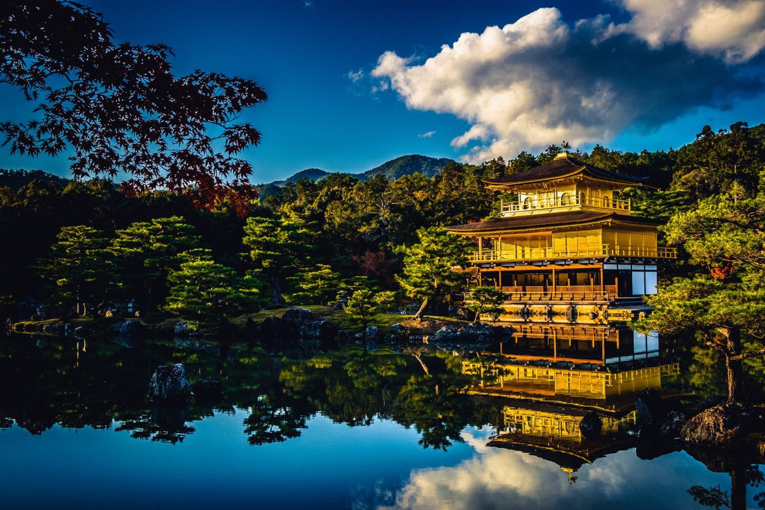 fly to kyoto japan with ANA mileage club