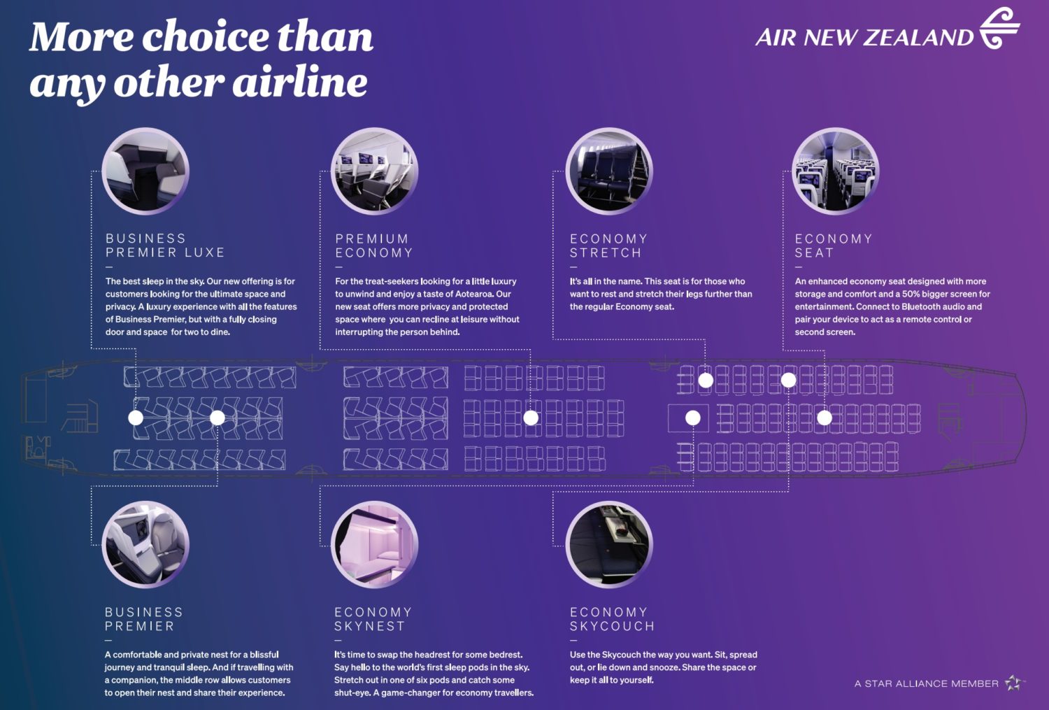 air new zealand skynest