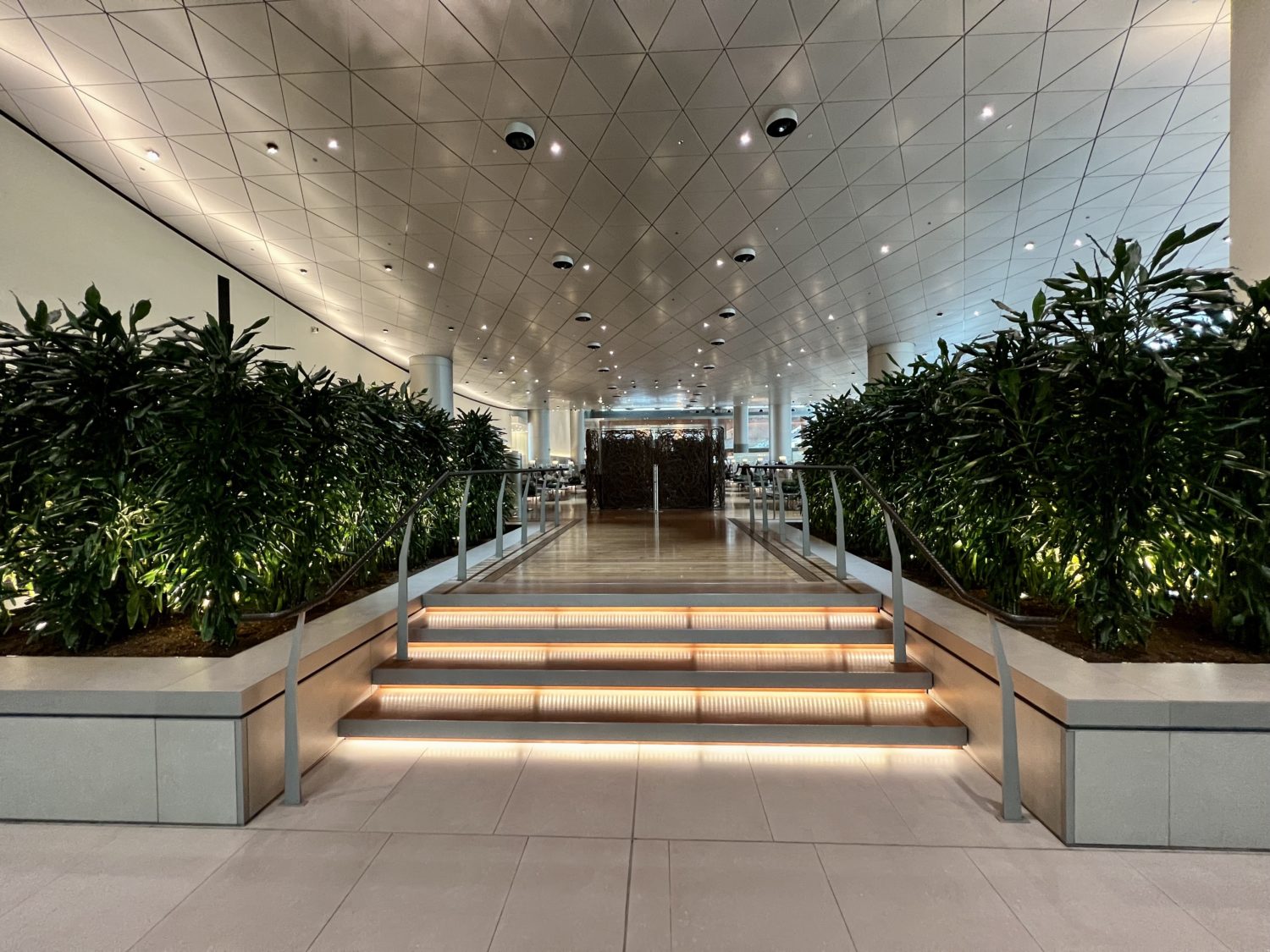 long walkway up stairs surrounded by green plants