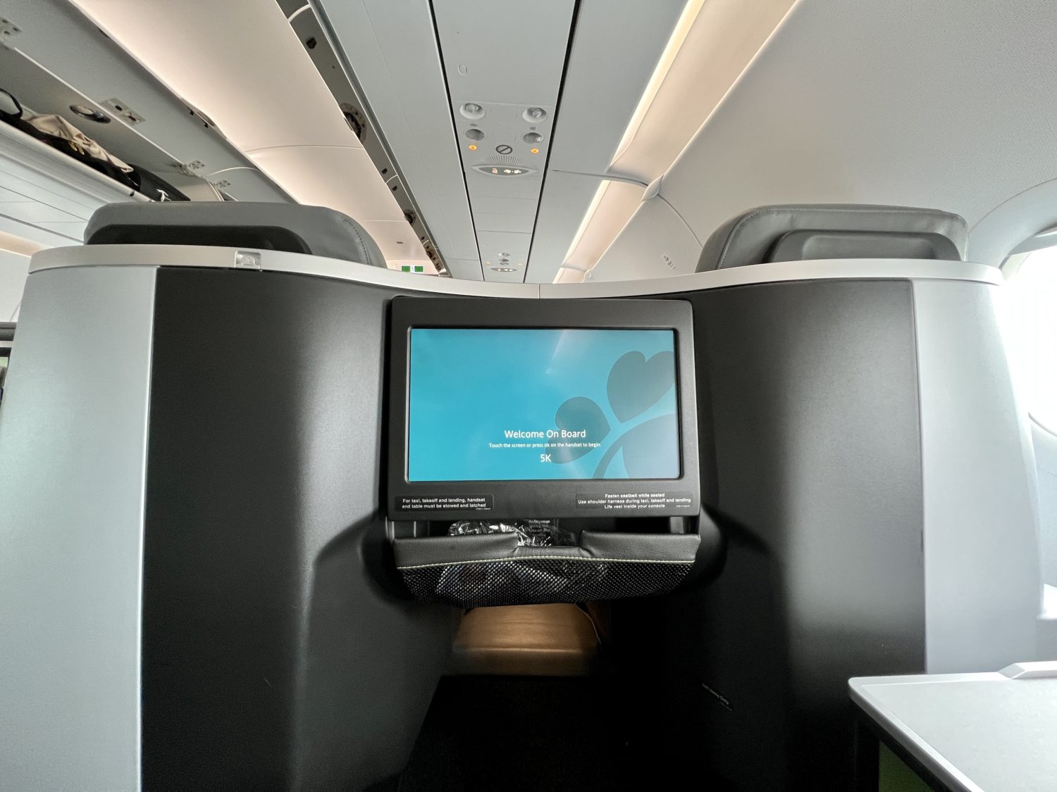 aer lingus business class storage