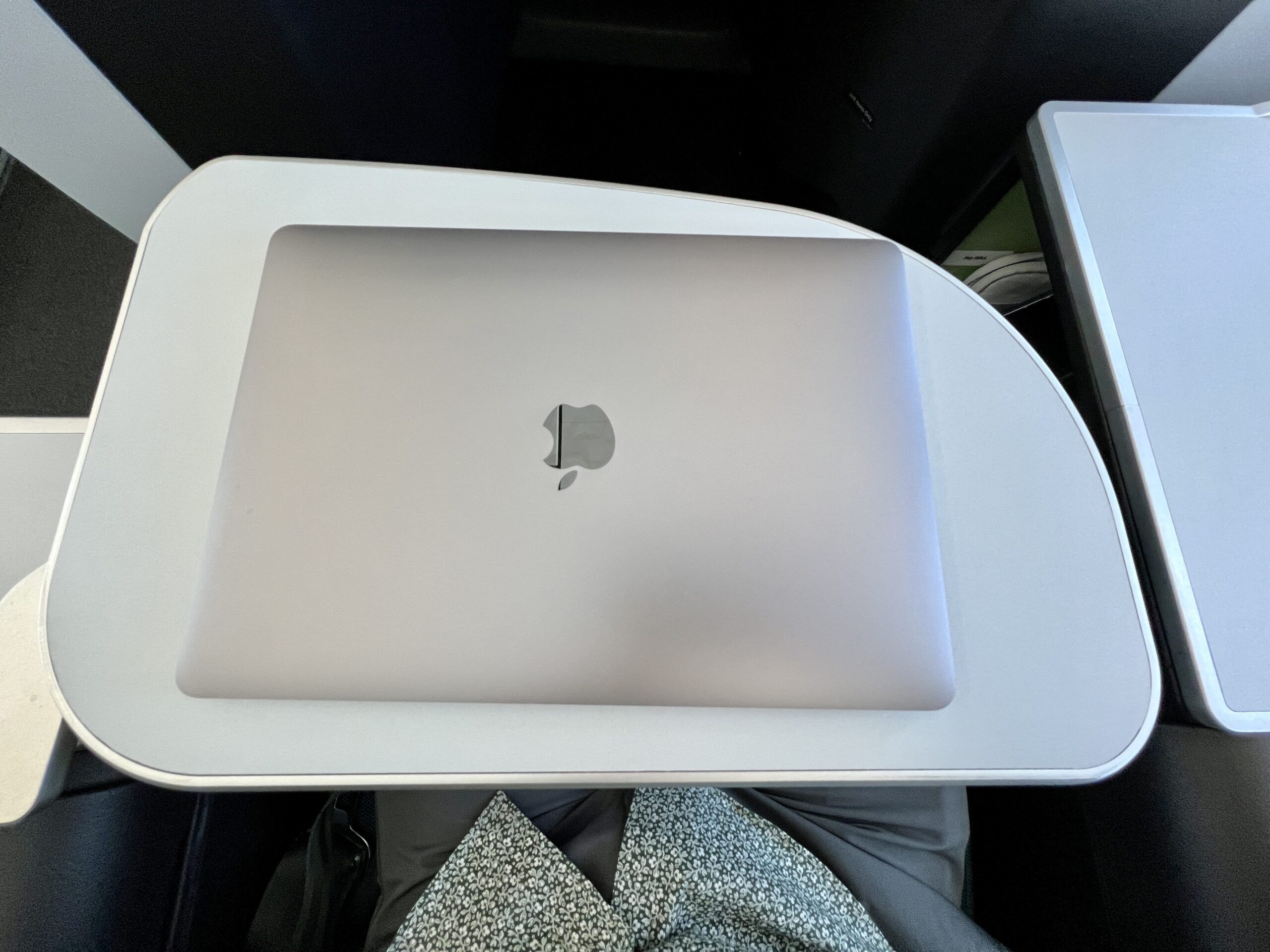 aer lingus business class tray
