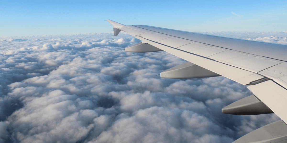 ANA around the world award