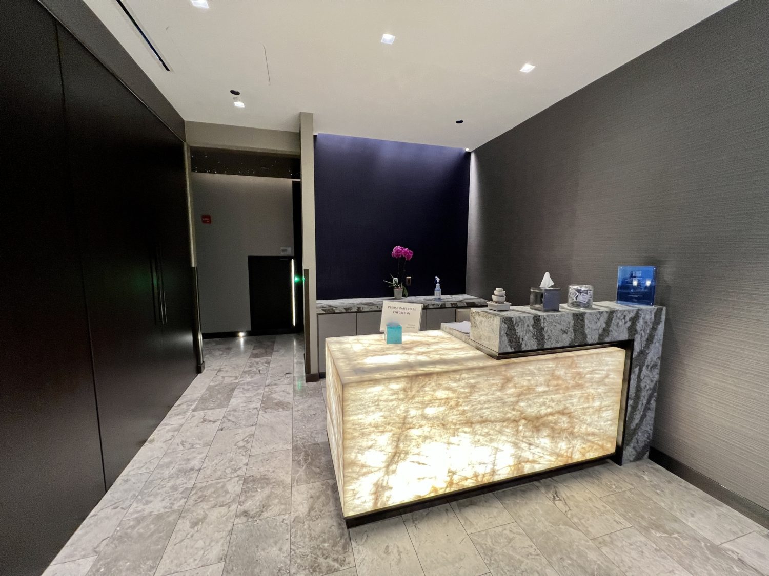 united polaris lounge chicago amenities