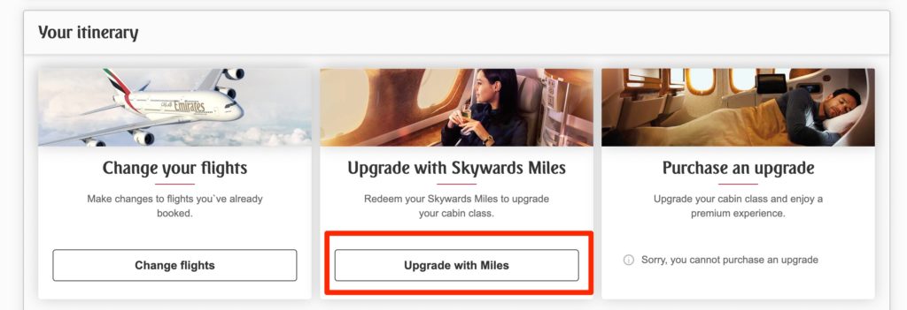 Options for your itinerary. Change your flights, upgrade with Skywards Miles, or purchase an upgrade. 