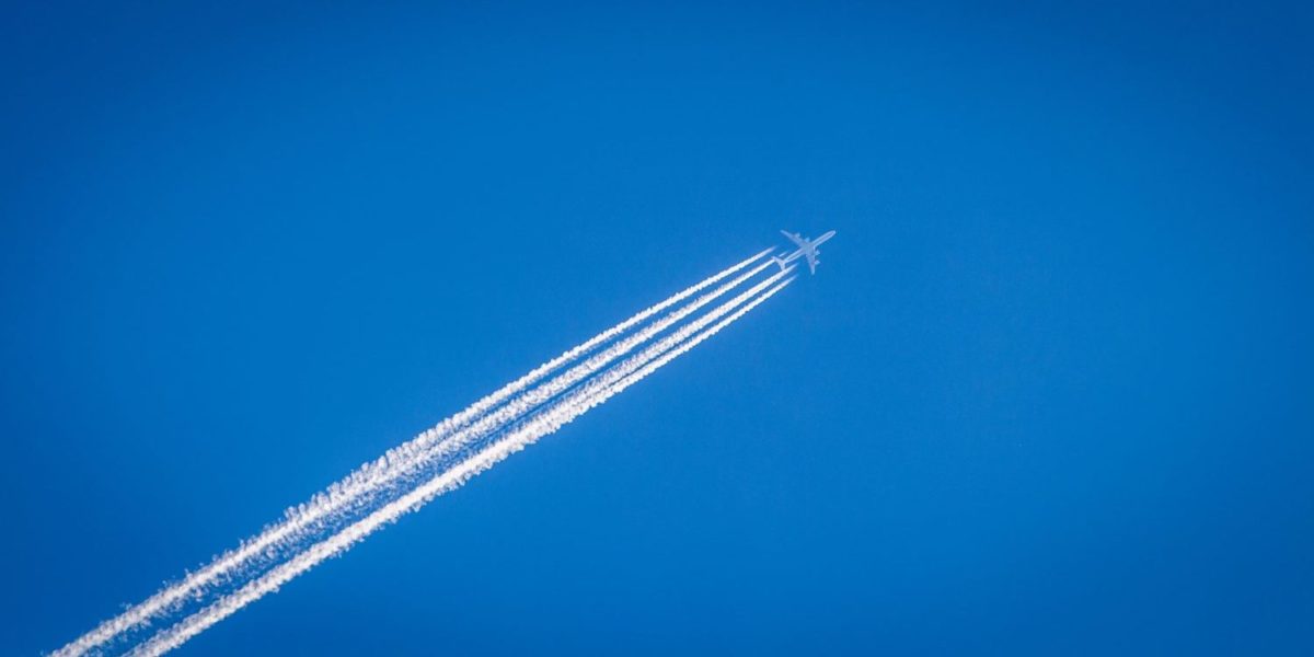 how to maximize thrifty traveler premium+