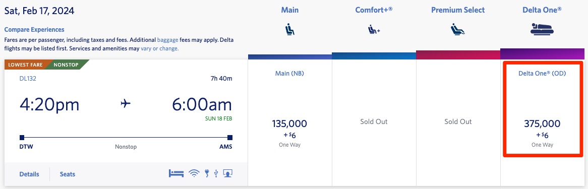 Delta One SkyMiles Award DTW-AMS