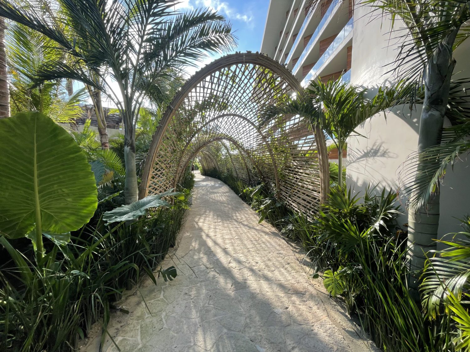 arched sandy walkway flanked by palm trees and other tropical plants