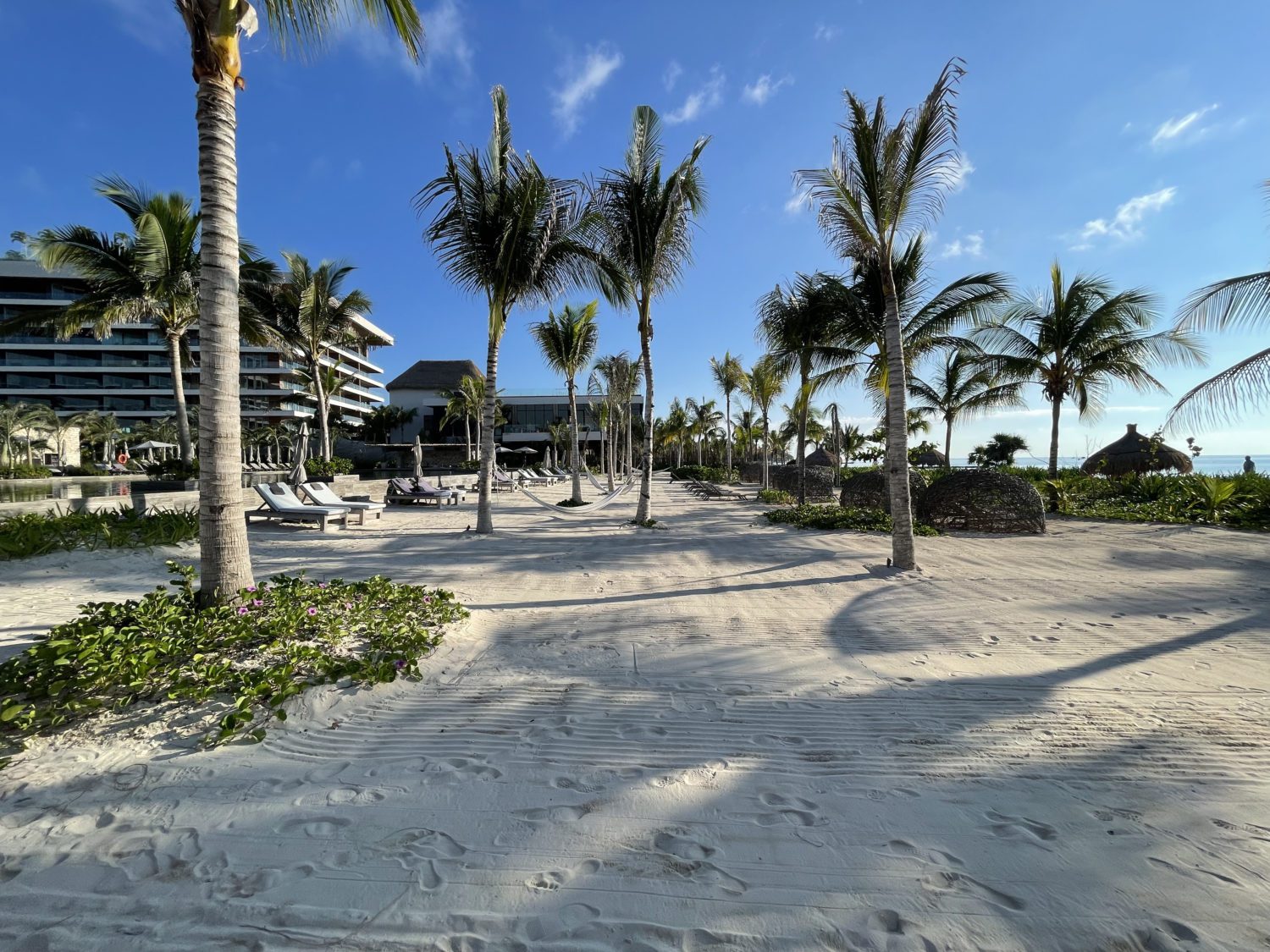 Rake lines in the sand and a smattering of palm trees on the beach. 
