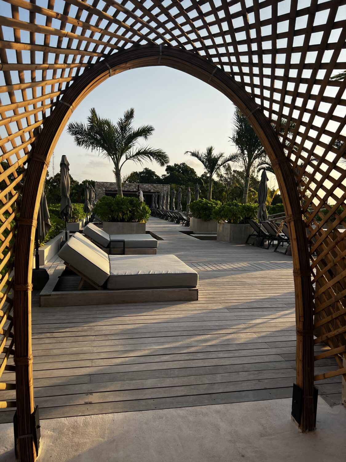 secrets impression moxche