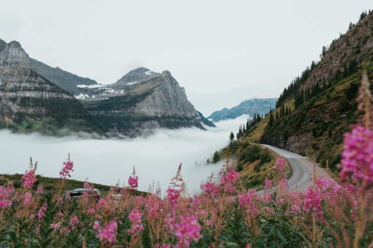Going-to-the-Sun Road in Glacier National Park