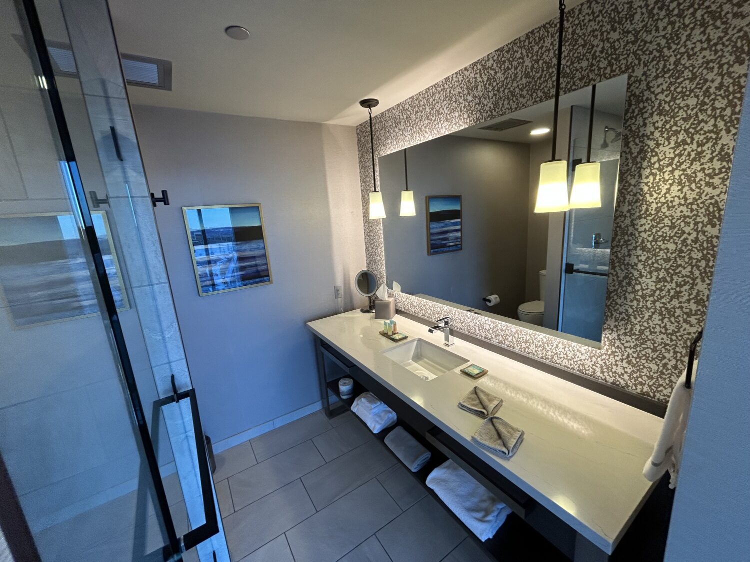 Bathroom INtercontinental MSP