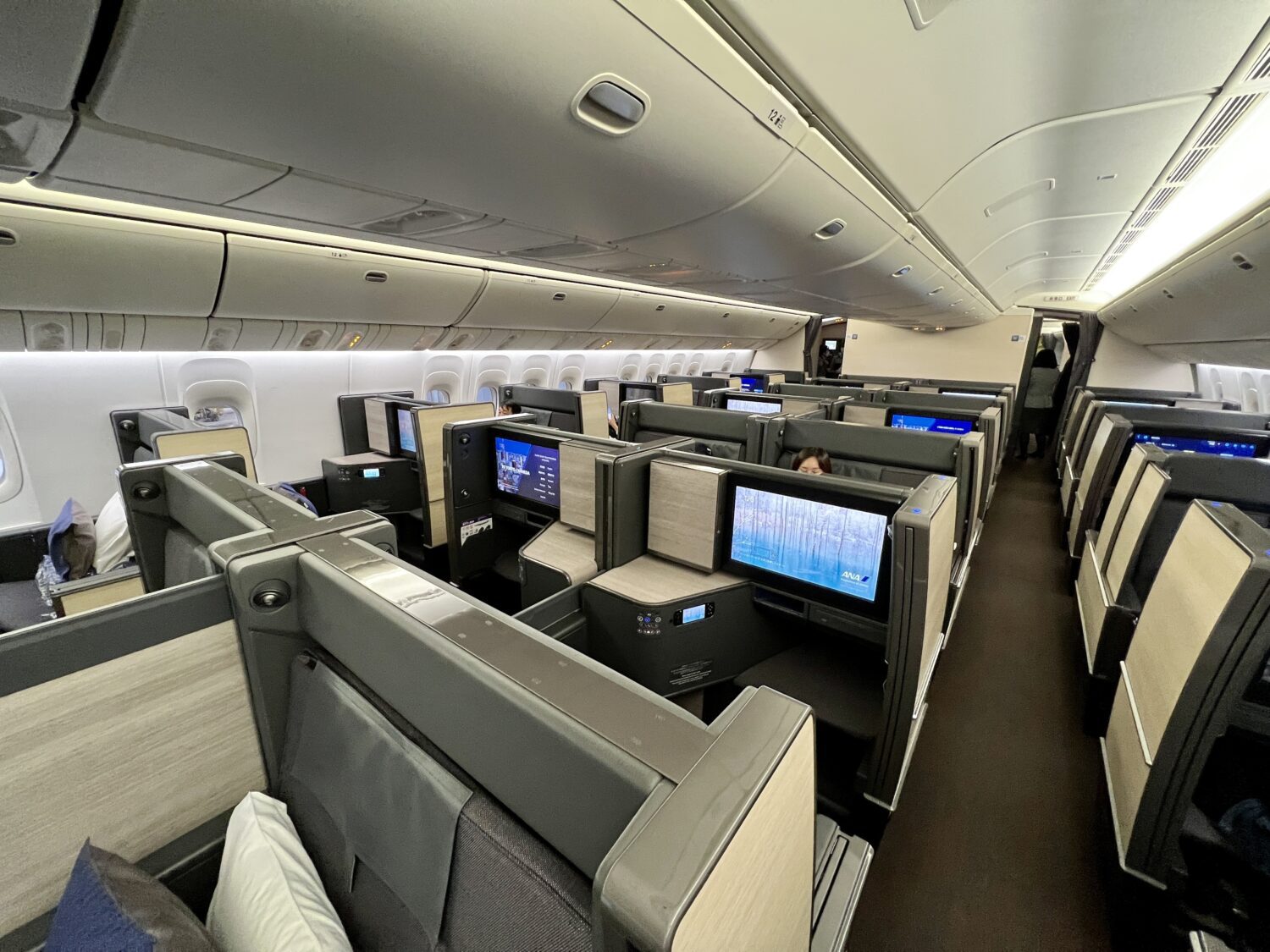 ana business class