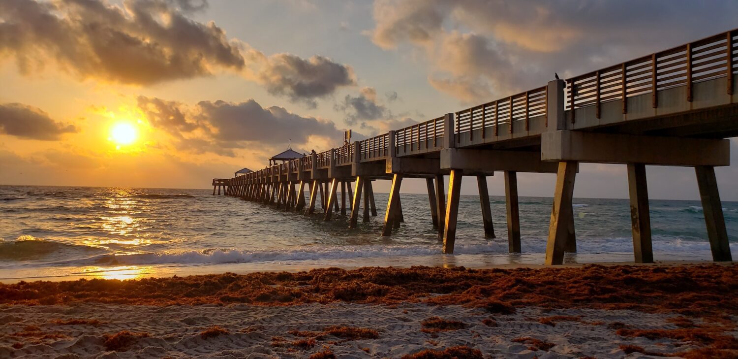 Sargassum lines a beach in Juno Beach, Florida at sunset
