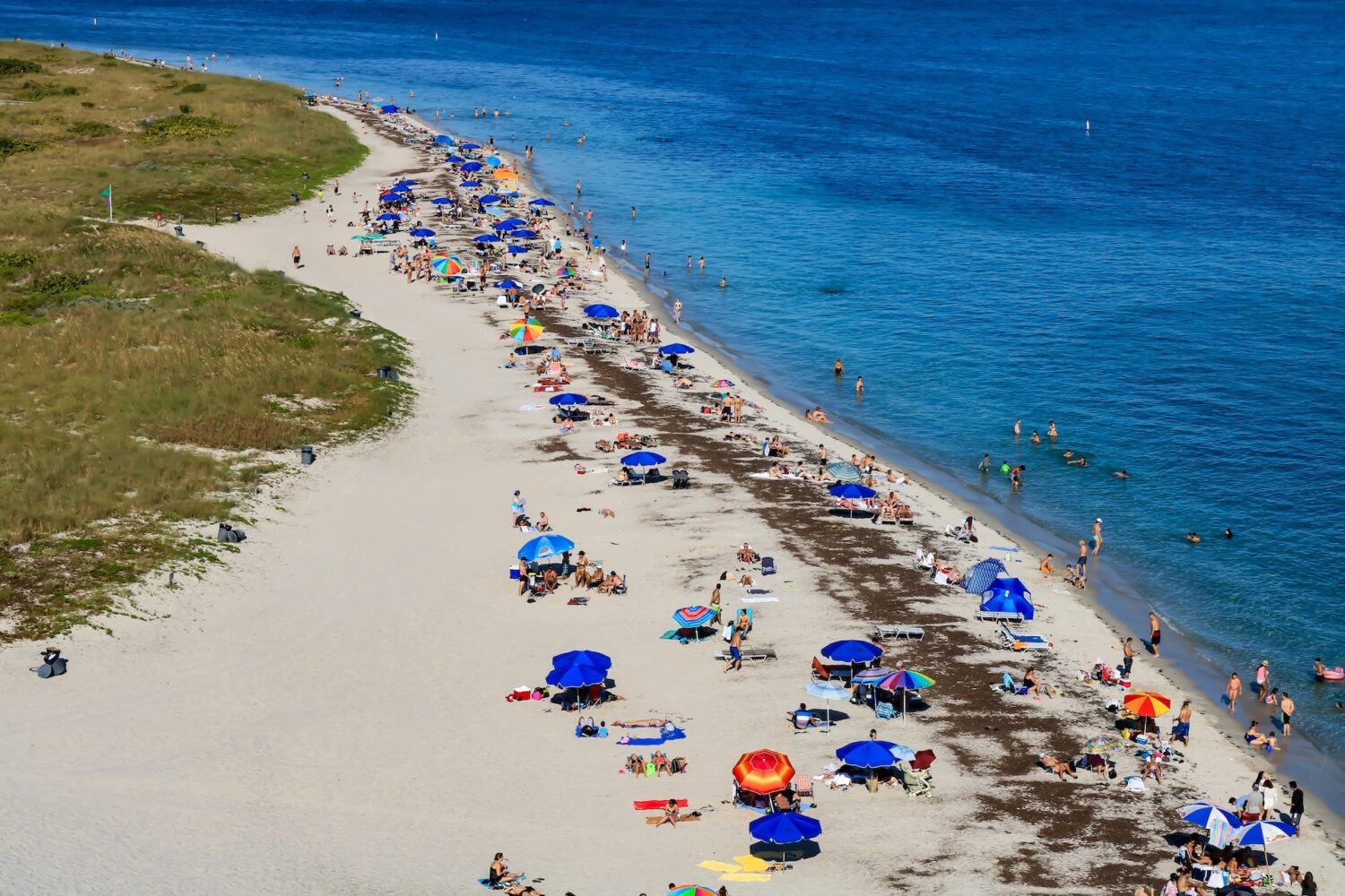 Beach-goers in Key Biscayne Florida near a sargassum bloom