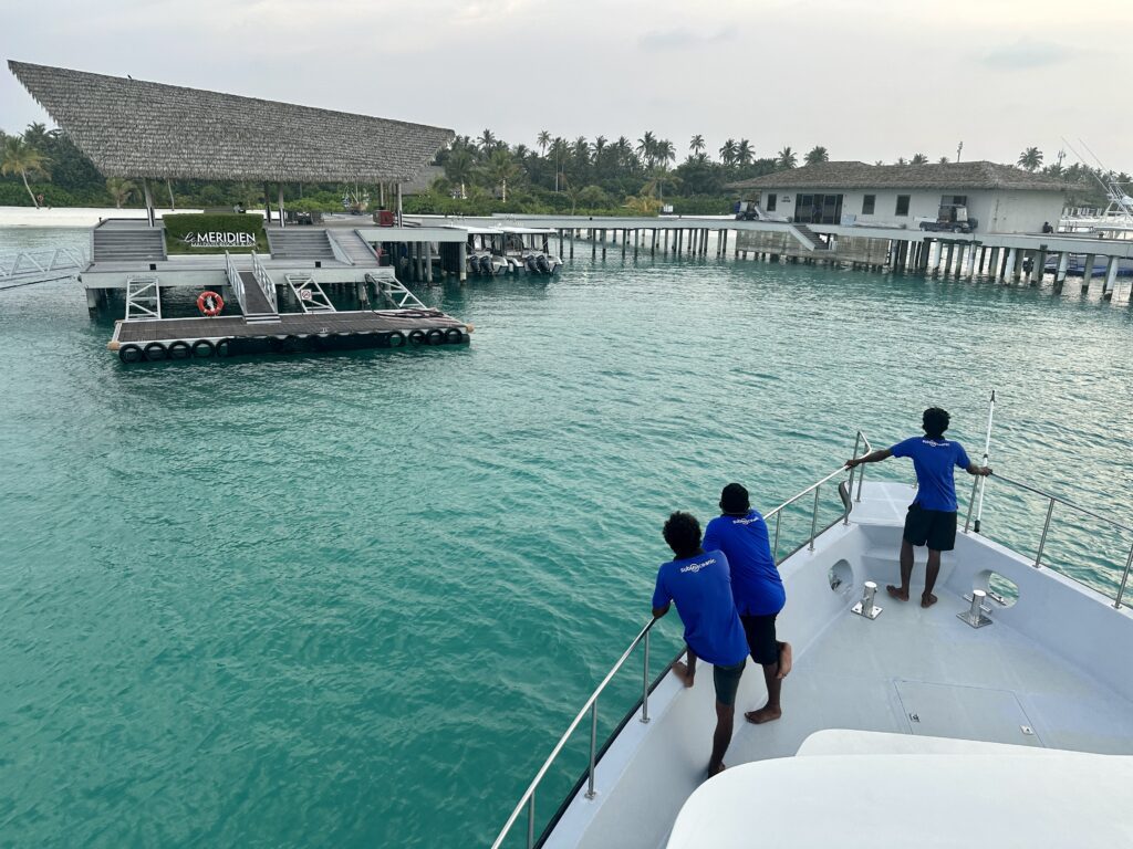 sunset dolphin cruise