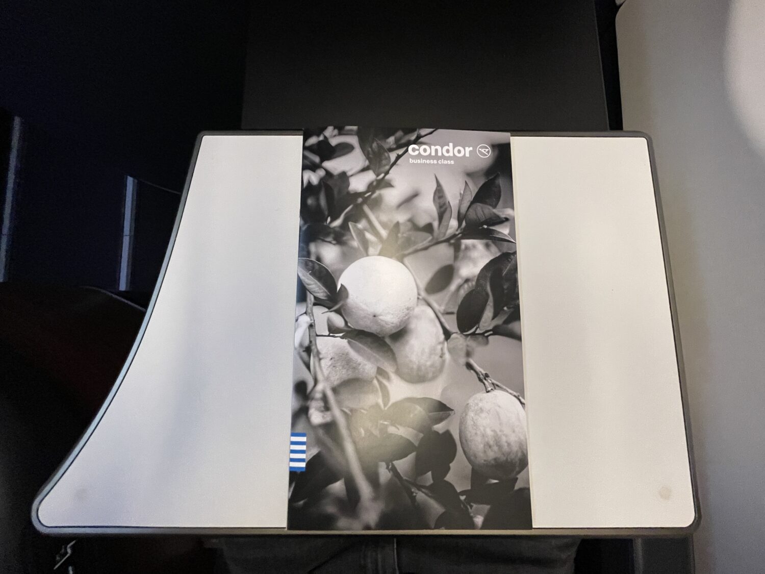 condor business class menu on a tray table