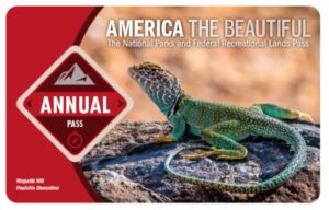 national parks annual pass america the beautiful pass