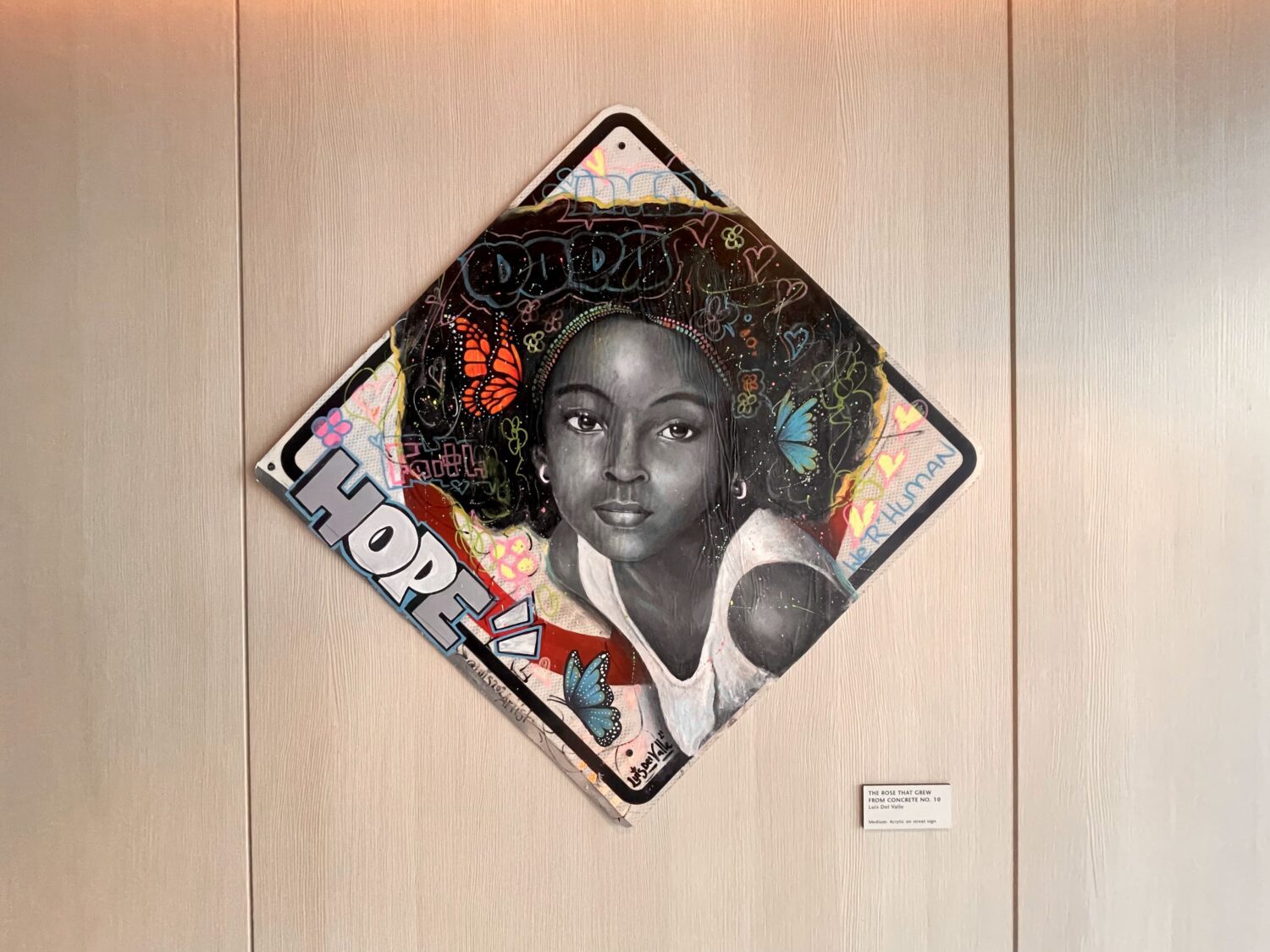 Dulles Capital One Lounge