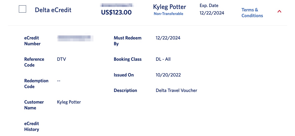 delta ecredit for $123 