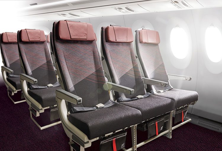jal economy seats