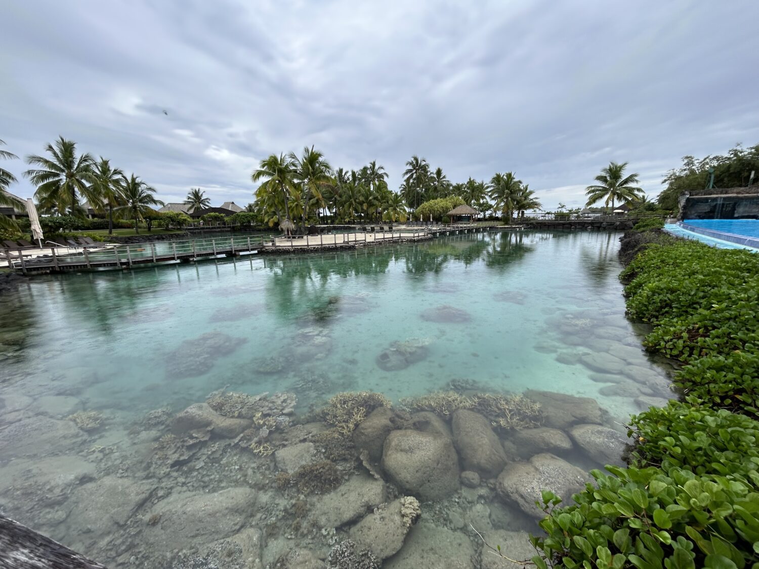 Aquarium IHG Tahiti
