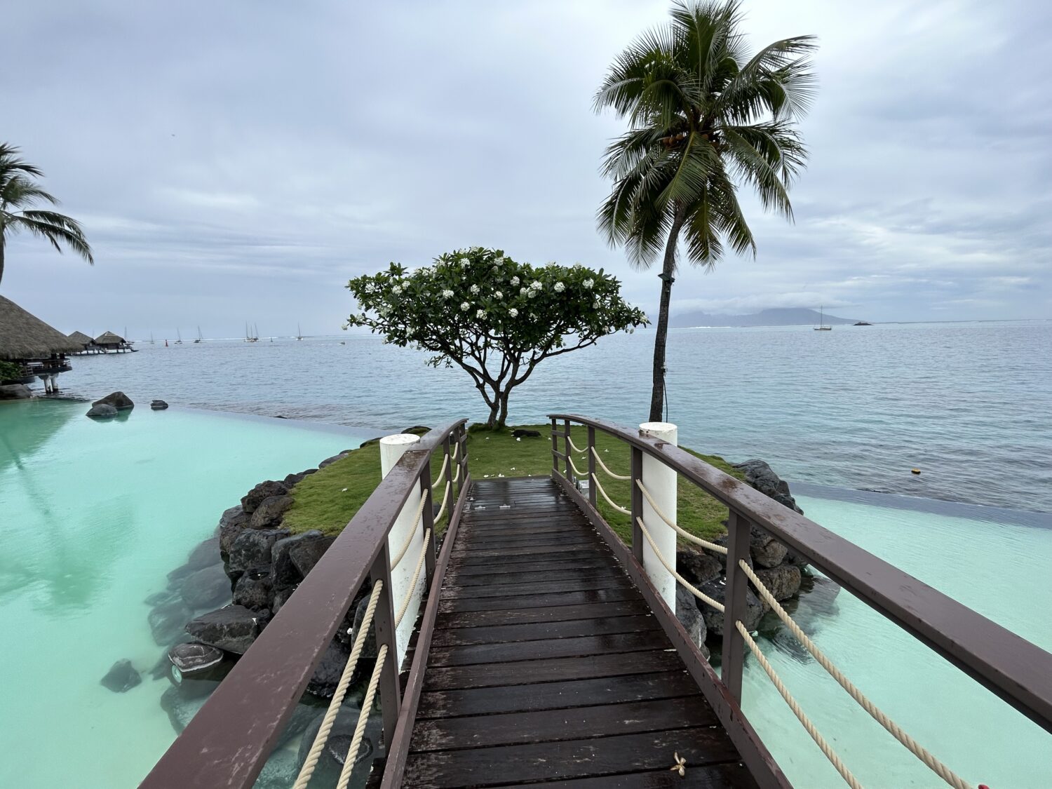 Island at Le Lotus pool