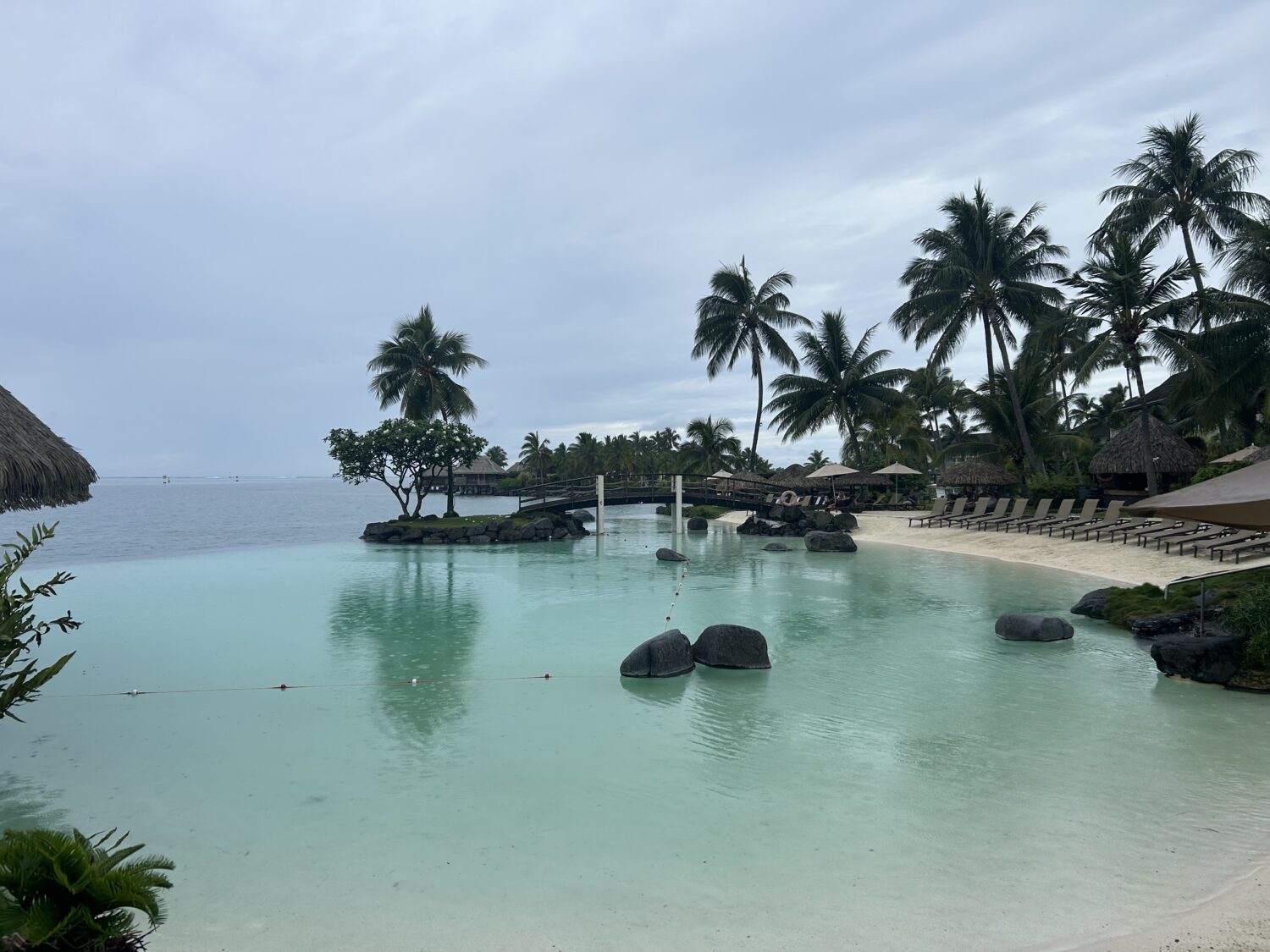 Swim up pool bar Le Lotus