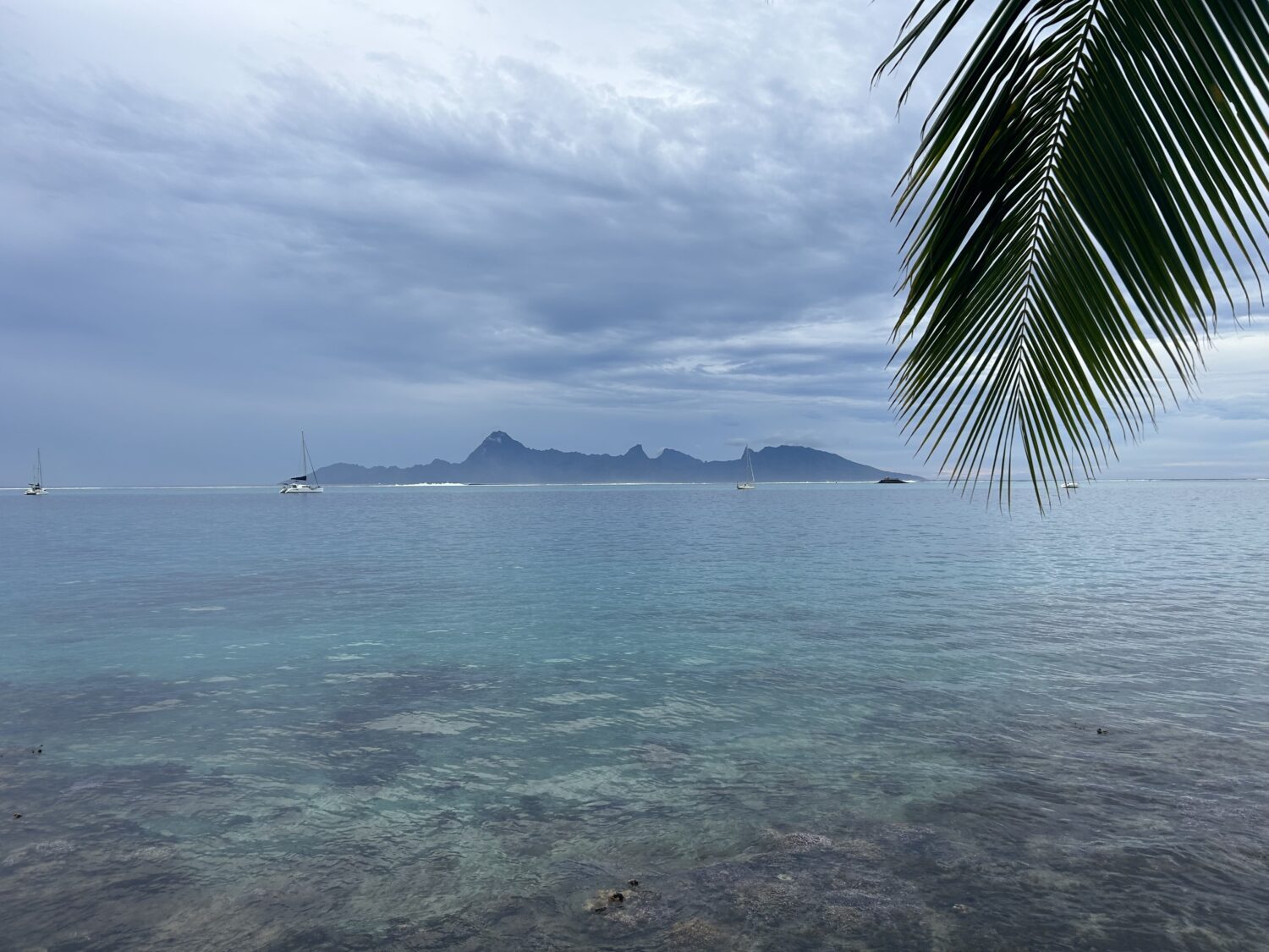 Moorea from IHG Tahiti