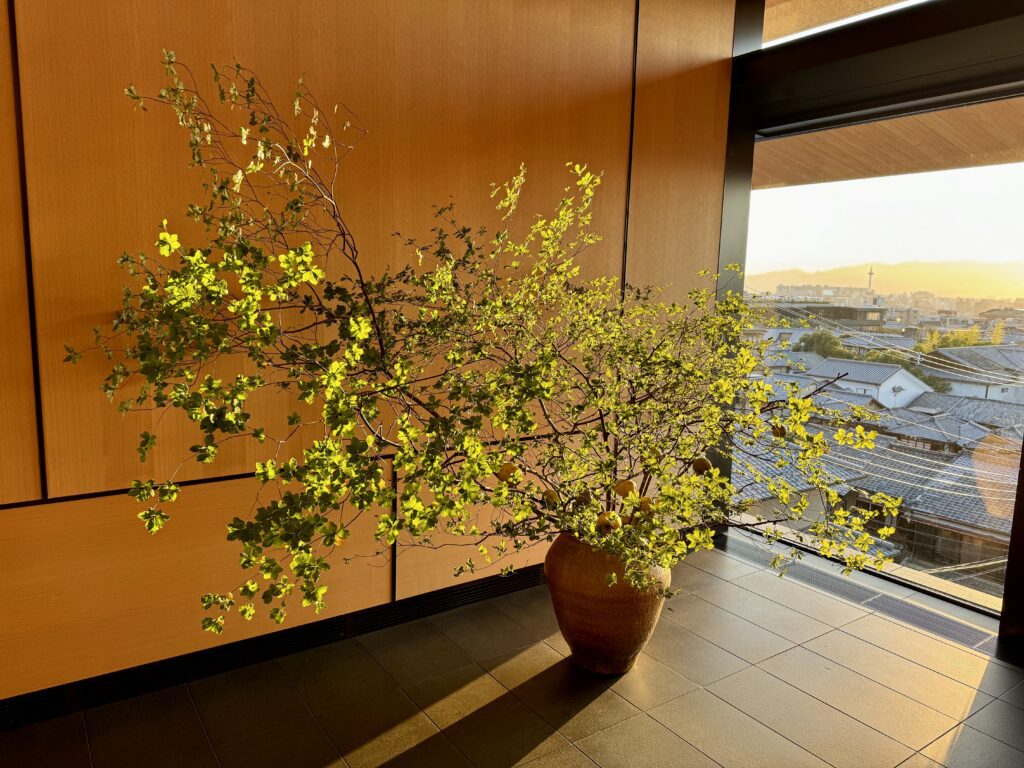 park hyatt kyoto plant