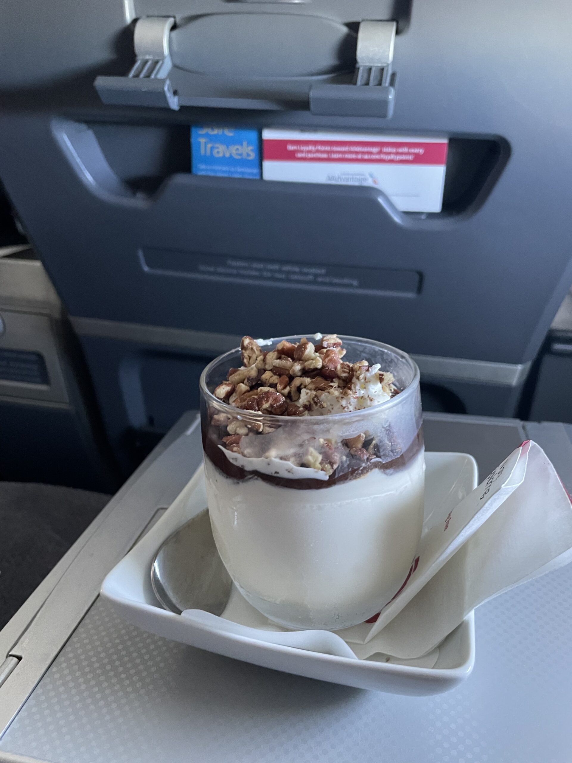 American Airlines ice cream
