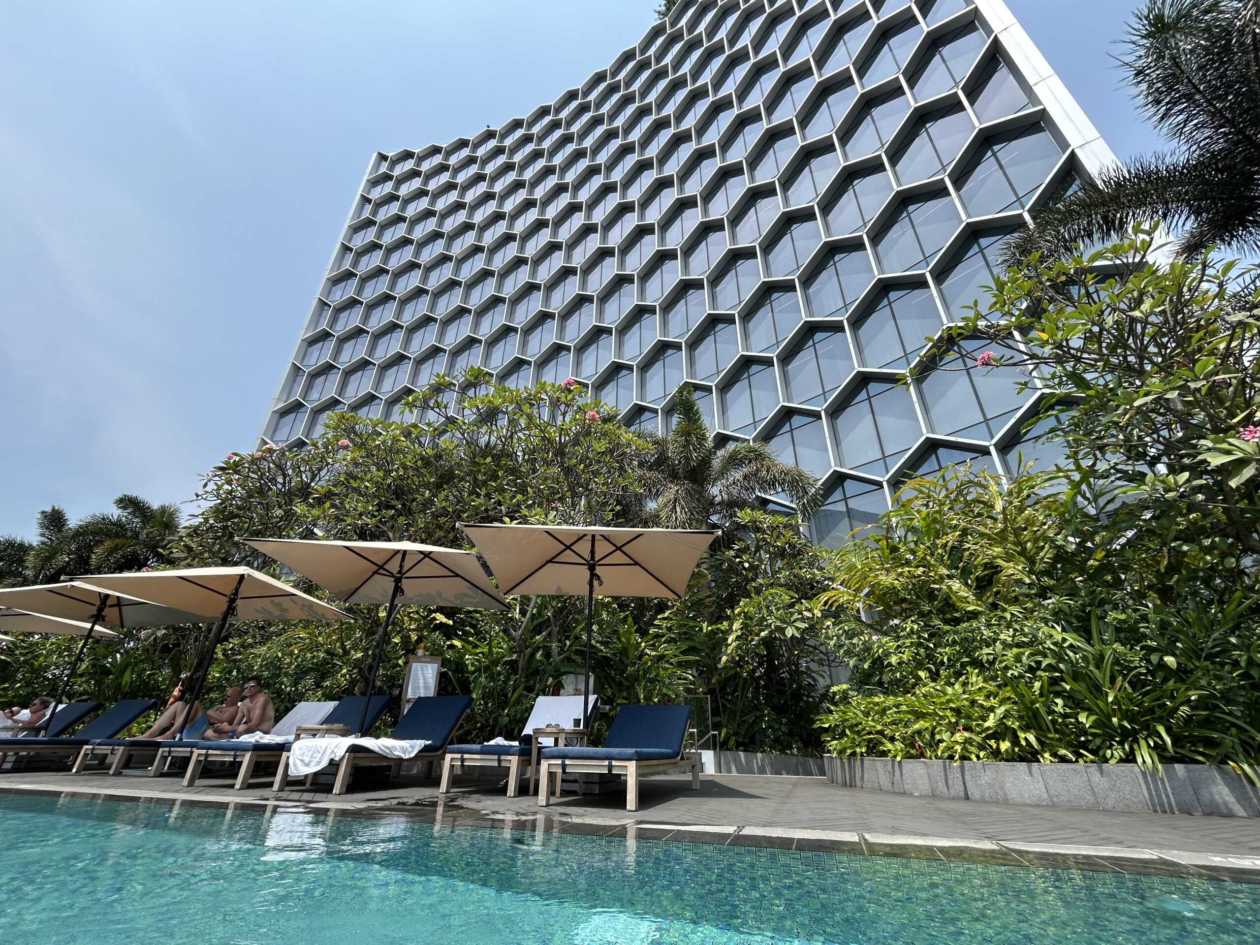 an outdoor swimming pool with shaded lounge chairs 