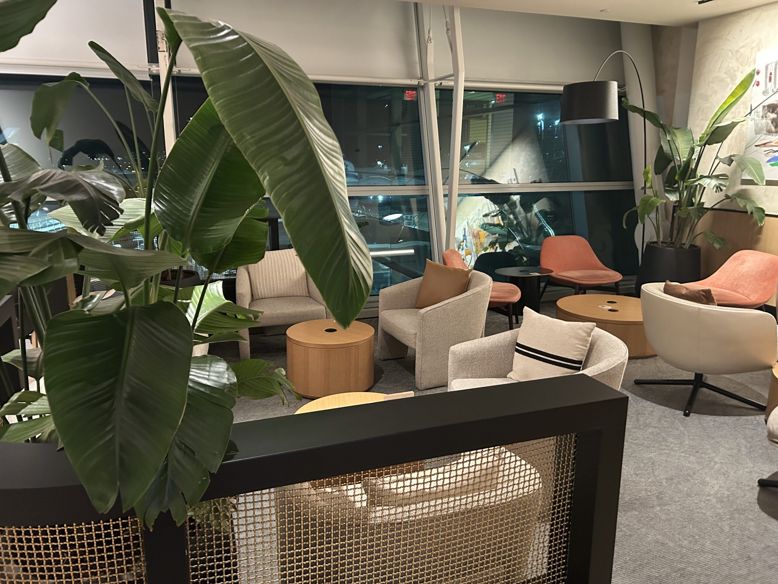 plants and soft lighting in a seating area