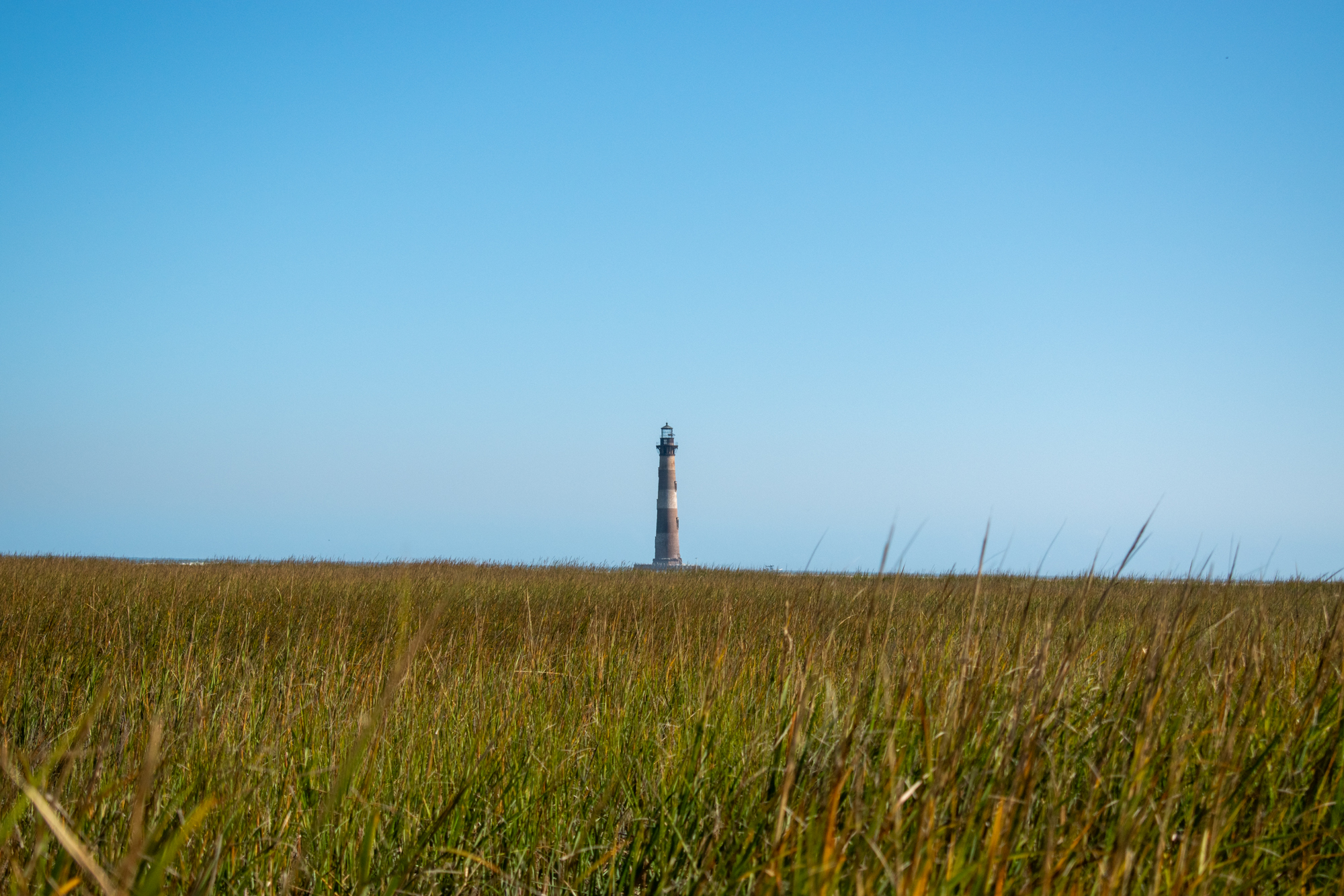 A lighthouse far away with water grass in the foreground on a boat tour in Charleston. 