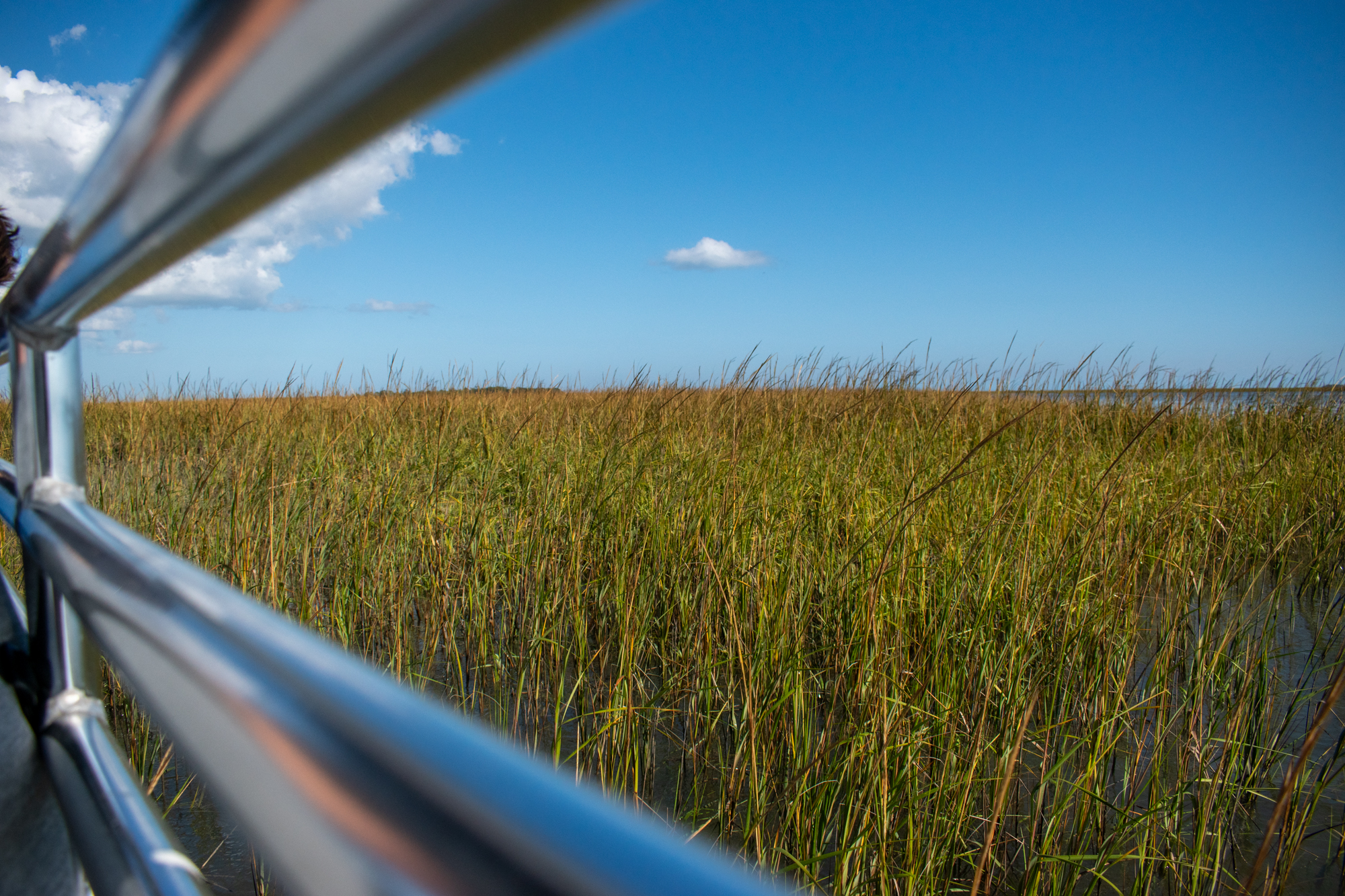 High watergrass as seen through the metallic railings of a tour boat on the shores of Charleston. 