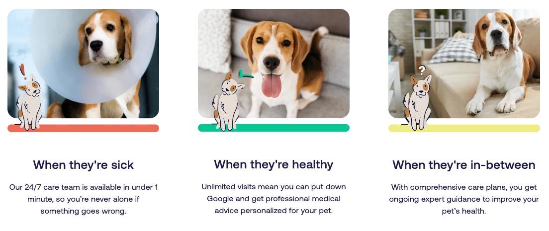 Pawp telehealth for pets showing what to do when they're sick, when they're healthy and when they're in-between