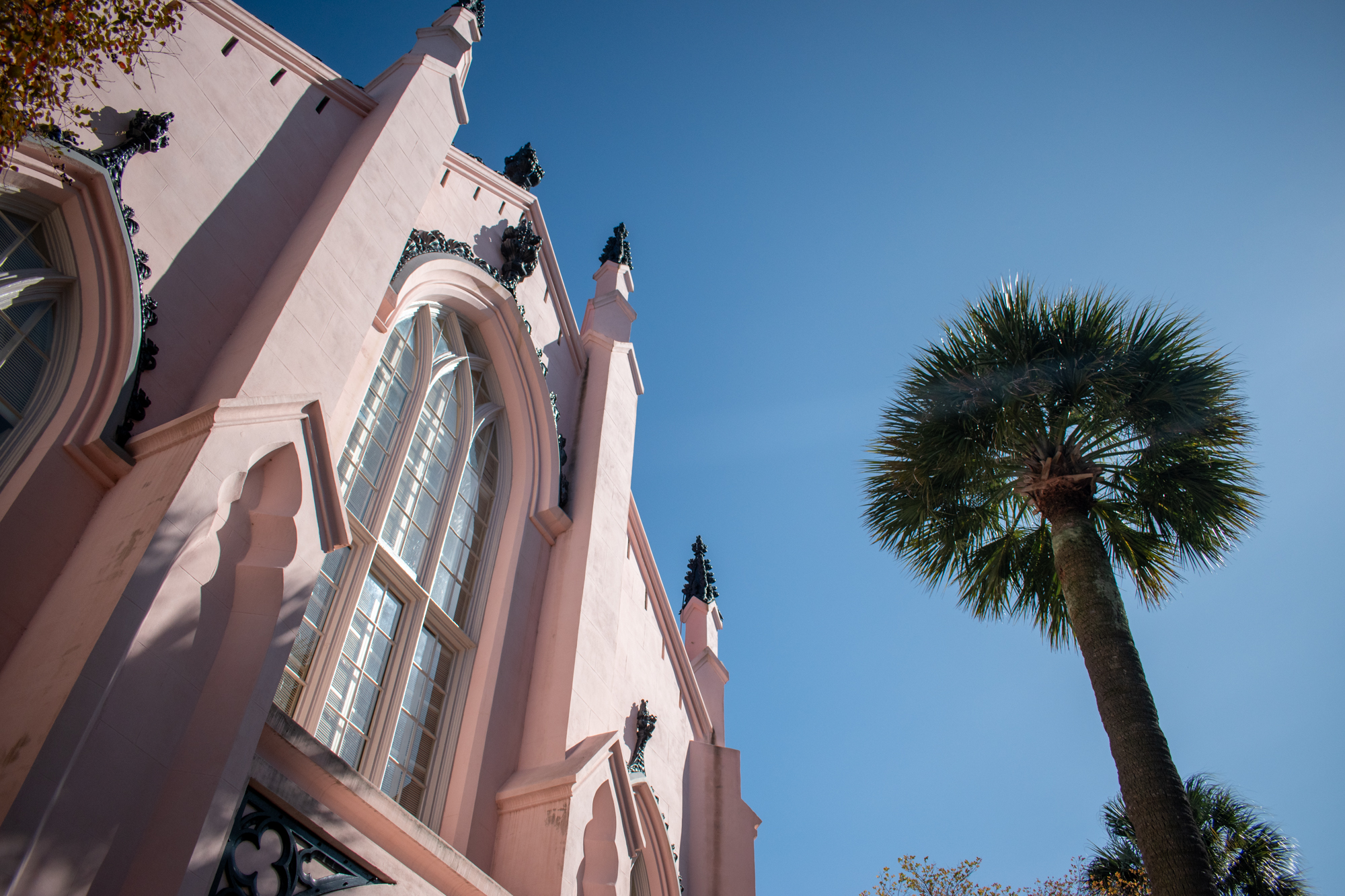 Pink church next to a palm tree in Charleston