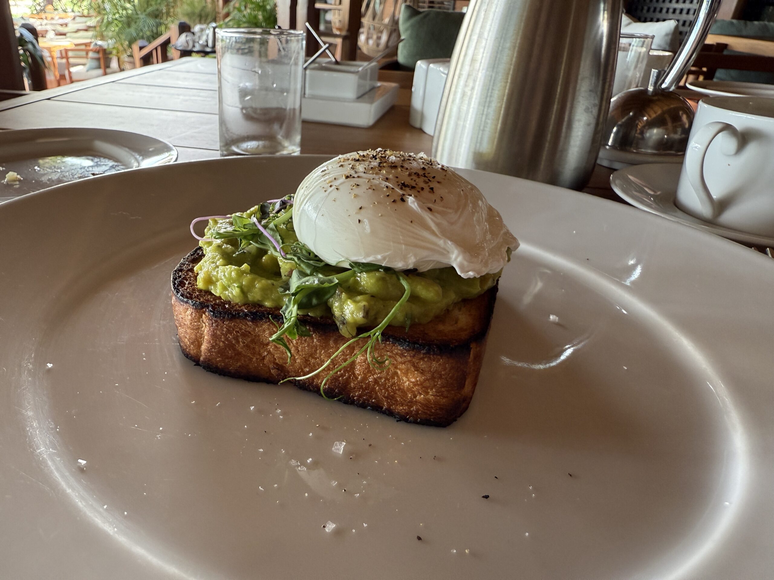 avocado toast with a poached egg on top