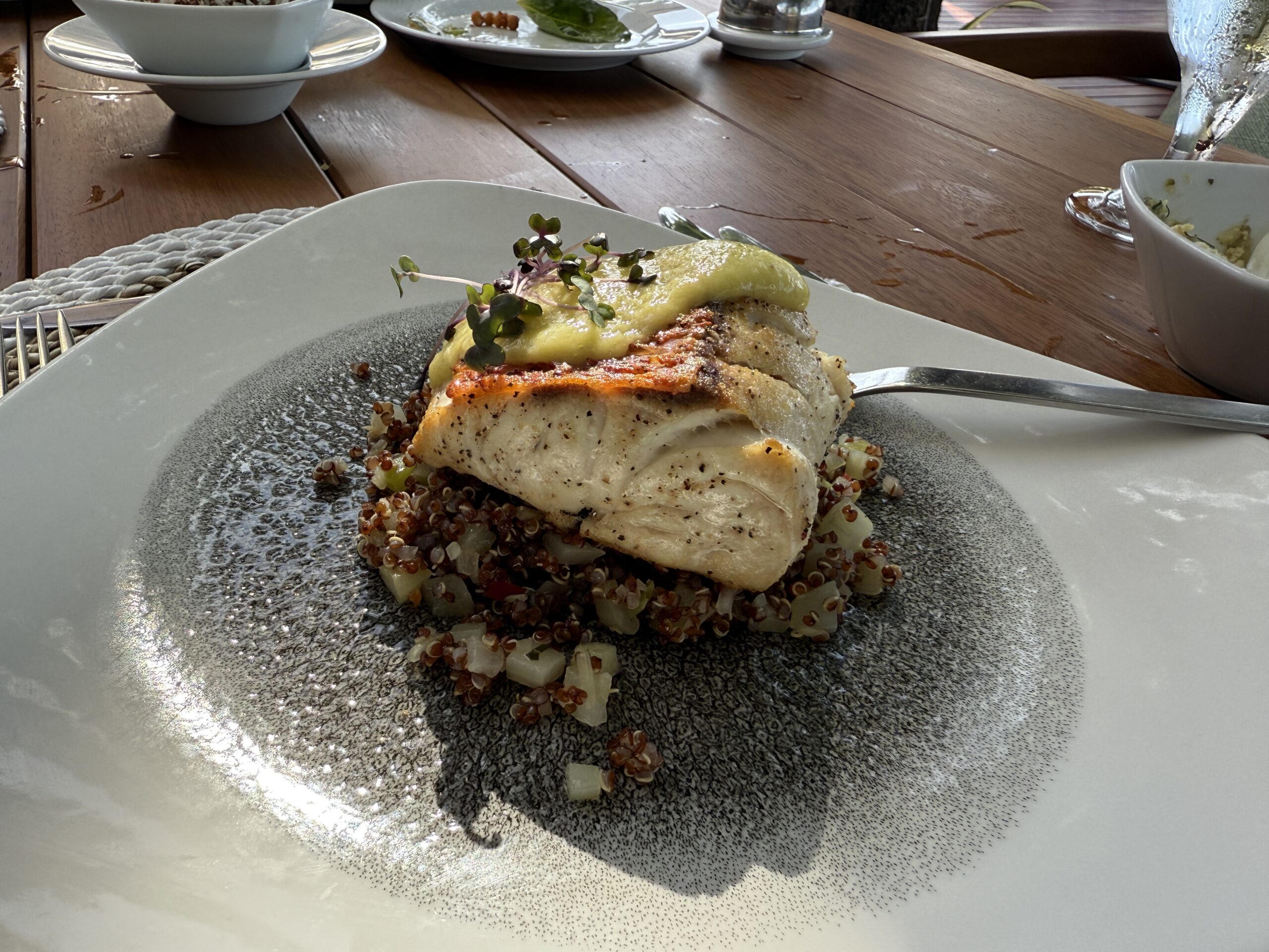 a filet of fish on a bed of quinoa on a plate