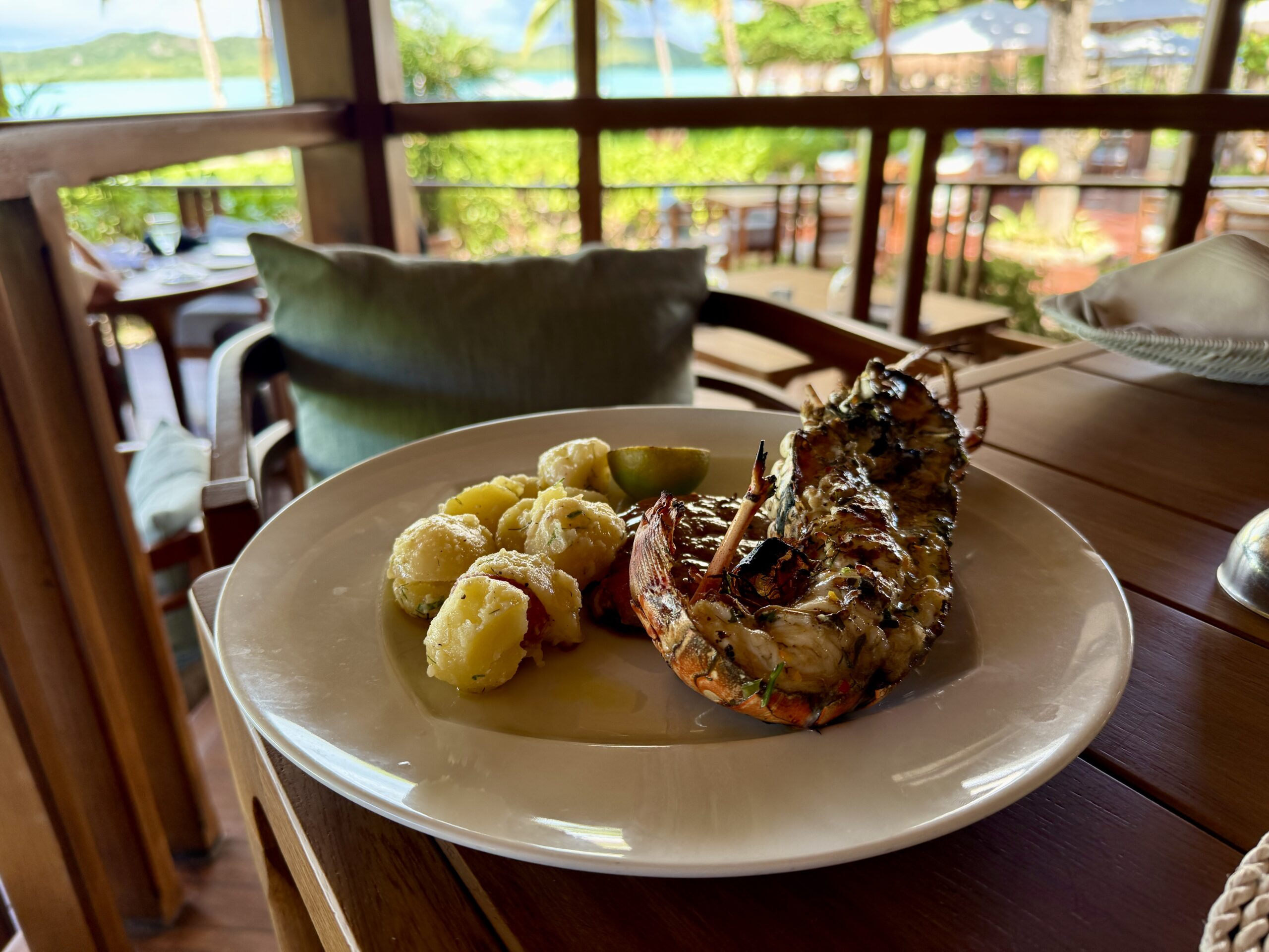 grilled lobster with potatoes on a plane