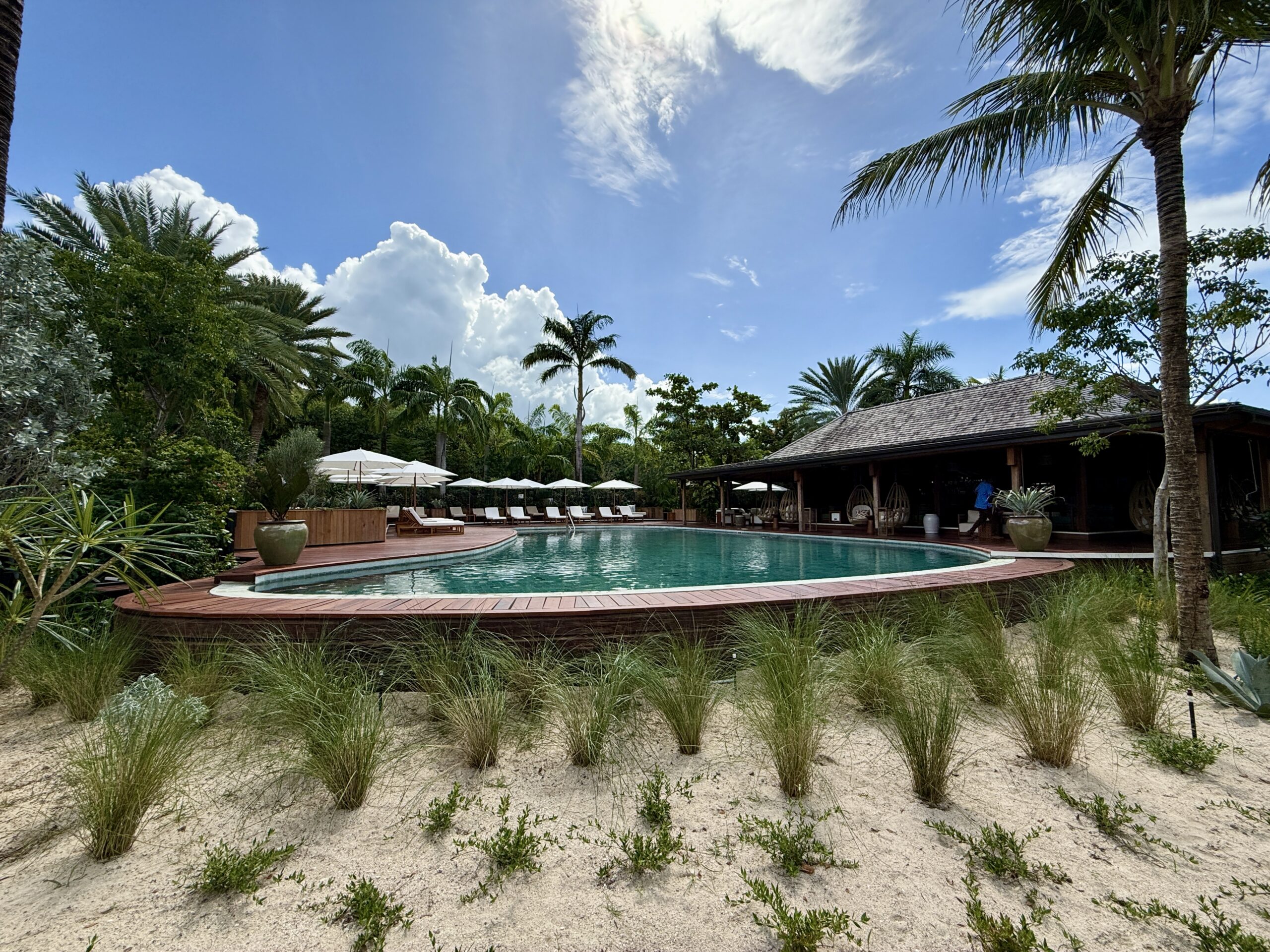large pool surrounded with seating with green plants in the foreground