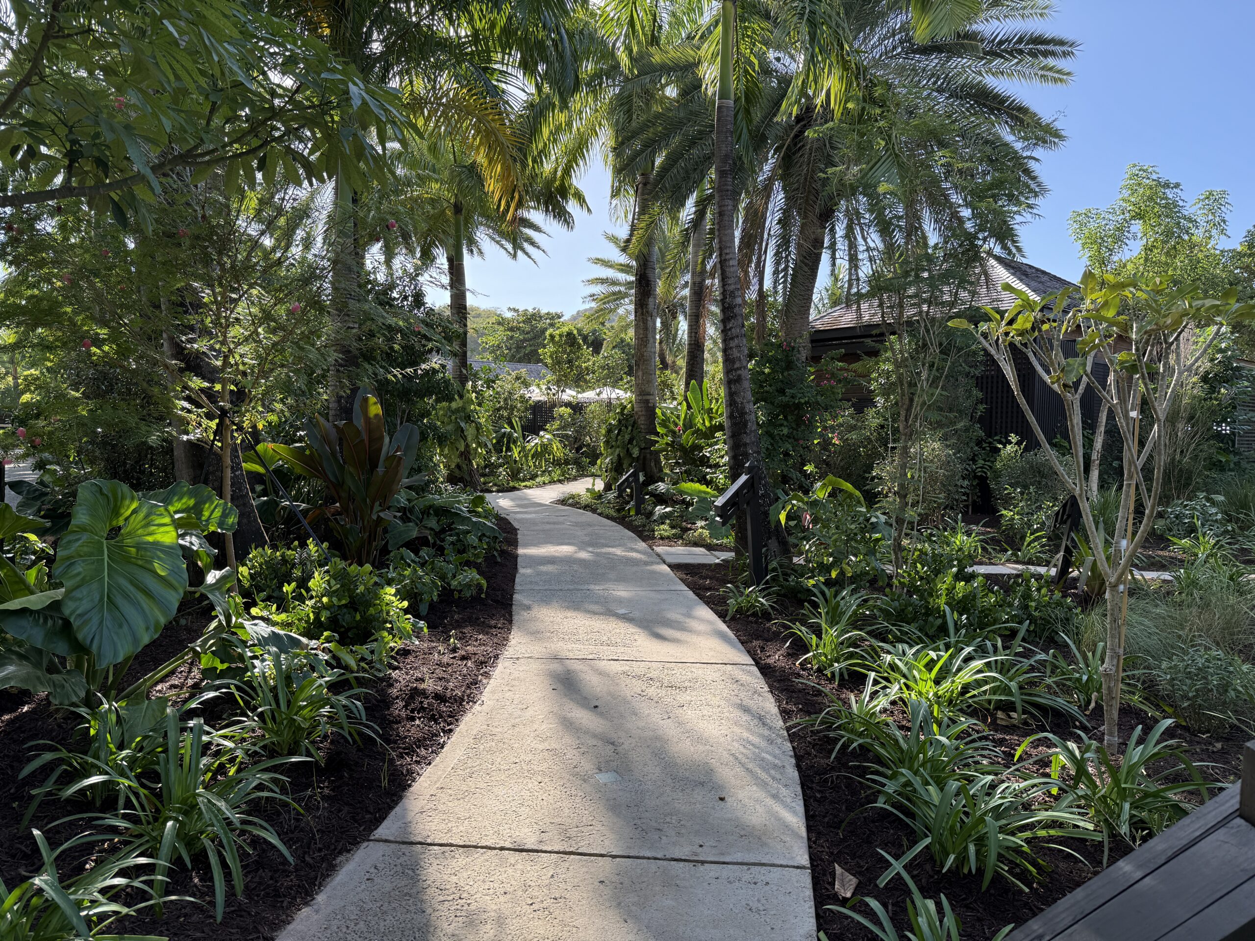 a concrete walkway surrounded by landscaping and green palm trees
