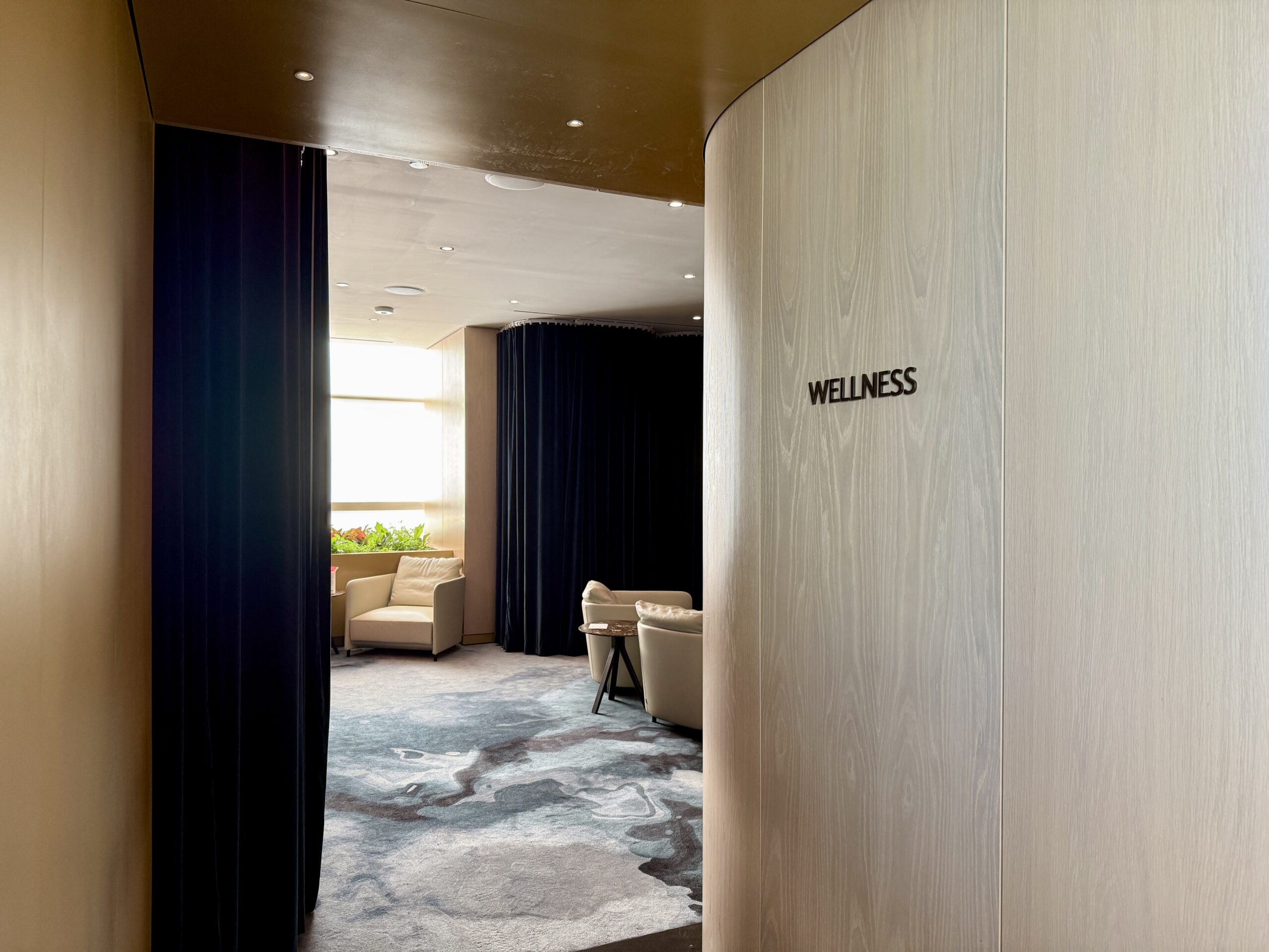 delta one lounge wellness area